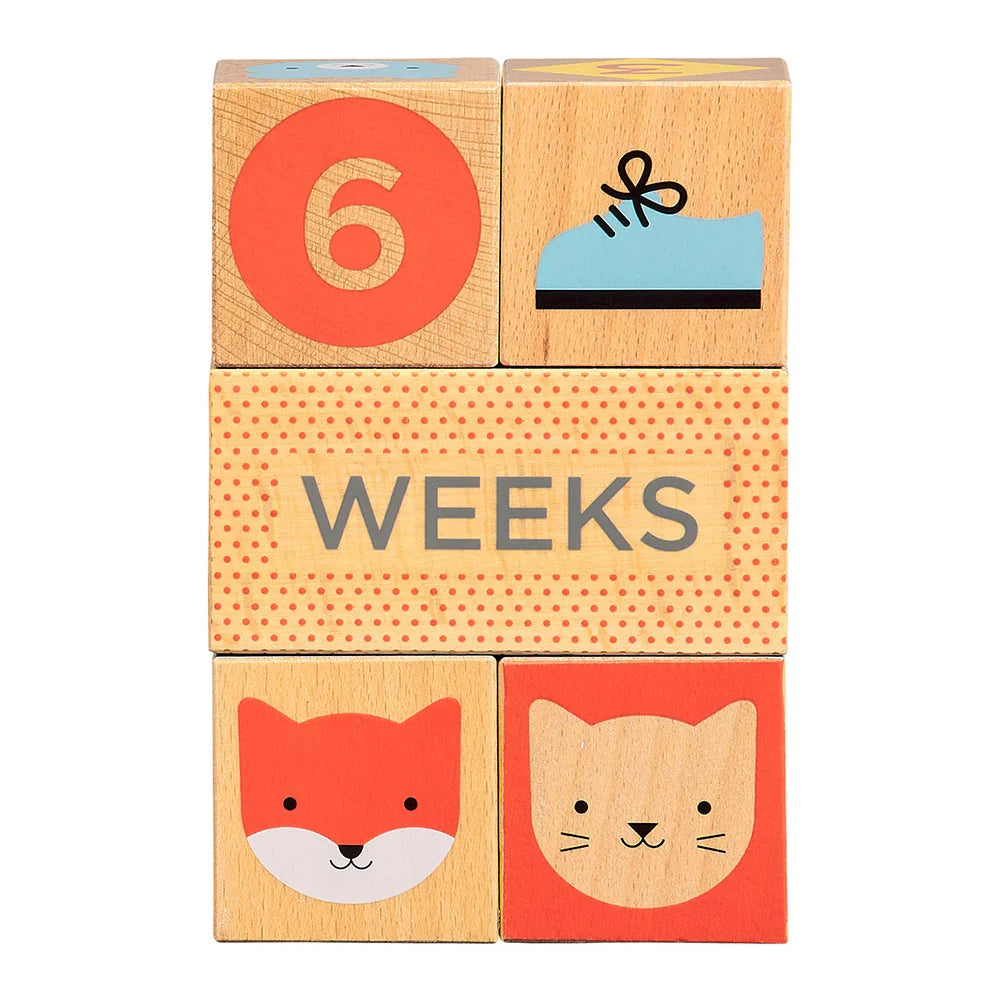 baby month milestone blocks wooden baby photo prop
